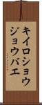 キイロショウジョウバエ Scroll