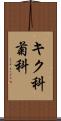 キク科;菊科 Scroll