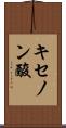 キセノン酸 Scroll