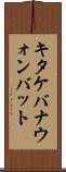 キタケバナウォンバット Scroll