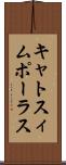 キャトスィムポーラス Scroll