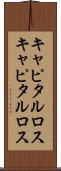キャピタルロス Scroll