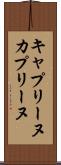 キャプリーヌ Scroll
