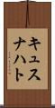 キュスナハト Scroll