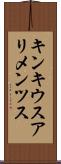 キンキウスアリメンツス Scroll