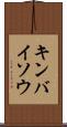 キンバイソウ Scroll