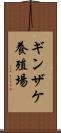ギンザケ養殖場 Scroll