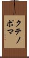 クテノポマ Scroll