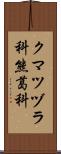 クマツヅラ科 Scroll