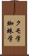クモ学 Scroll