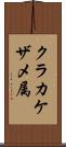 クラカケザメ属 Scroll