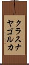 クラスナヤゴルカ Scroll