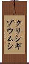 クリシギゾウムシ Scroll