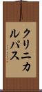 クリニカルパス Scroll