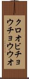 クロオビチョウチョウウオ Scroll