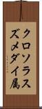 クロソラスズメダイ属 Scroll