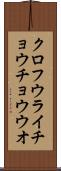 クロフウライチョウチョウウオ Scroll