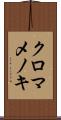 クロマメノキ Scroll