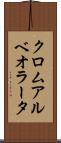 クロムアルベオラータ Scroll