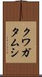クワガタムシ Scroll
