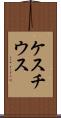 ケスチウス Scroll