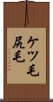 ケツ毛 Scroll
