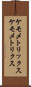 ケモメトリックス Scroll