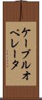 ケーブルオペレータ Scroll