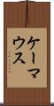ケーマウス Scroll