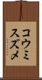 コウミスズメ Scroll