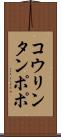 コウリンタンポポ Scroll