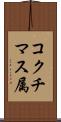 コクチマス属 Scroll