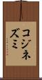 コジネズミ Scroll