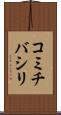 コミチバシリ Scroll