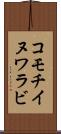 コモチイヌワラビ Scroll