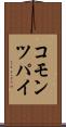 コモン・ツパイ Scroll