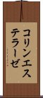 コリンエステラーゼ Scroll