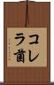 コレラ菌 Scroll