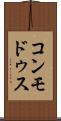 コンモドゥス Scroll