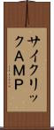 サイクリックＡＭＰ Scroll