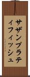 サザンプラティフィッシュ Scroll
