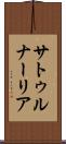 サトゥルナーリア Scroll