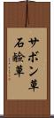 サボン草 Scroll