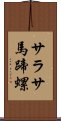 サラサ馬蹄螺 Scroll