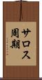 サロス周期 Scroll