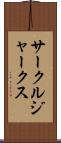 サークル・ジャークス Scroll