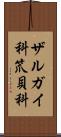 ザルガイ科 Scroll