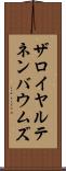 ザロイヤルテネンバウムズ Scroll