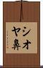 シオヤ鼻 Scroll