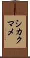 シカクマメ Scroll